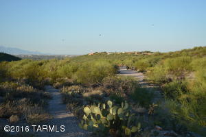 4877 N Territory Loop, Tucson, AZ 85750 photo 32