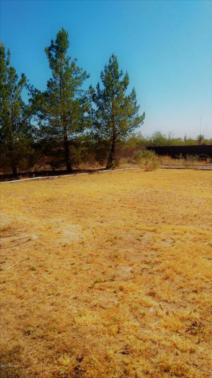 190 W Patte Rd, Willcox, AZ 85643 photo 18