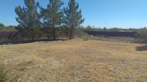 190 W Patte Rd, Willcox, AZ 85643 photo 23