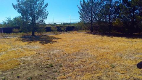 190 W Patte Rd, Willcox, AZ 85643 photo 20