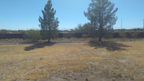 190 W Patte Rd, Willcox, AZ 85643 photo 21
