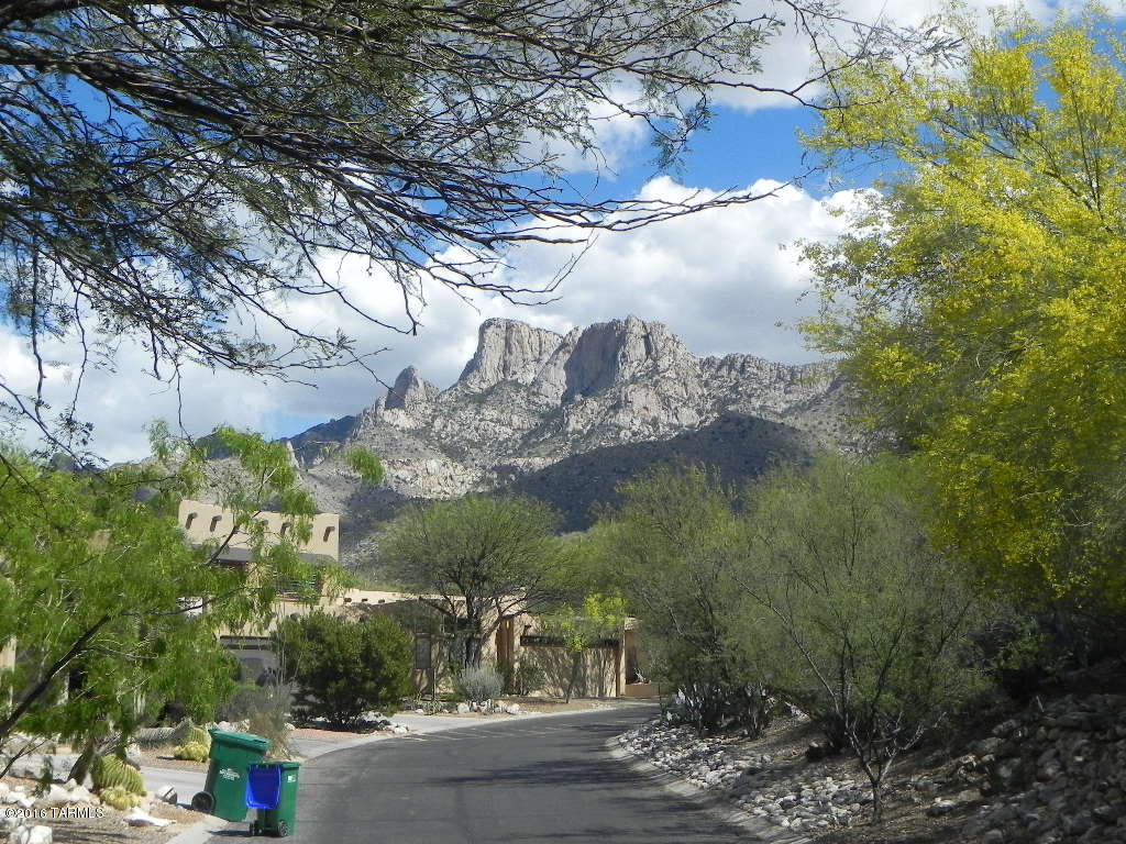 1737 E Deer Hollow Loop, Tucson, AZ 85737 photo 18