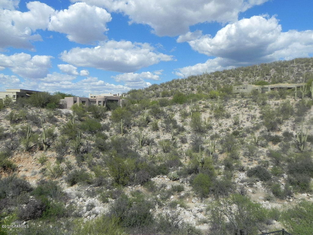 1737 E Deer Hollow Loop, Tucson, AZ 85737 photo 20