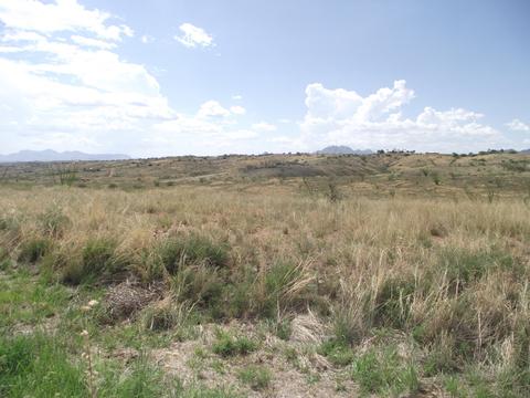 48 Lado De Loma Dr, Nogales, AZ 85621