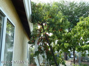 232 E Seneca Dr, Benson, AZ 85602 photo 39
