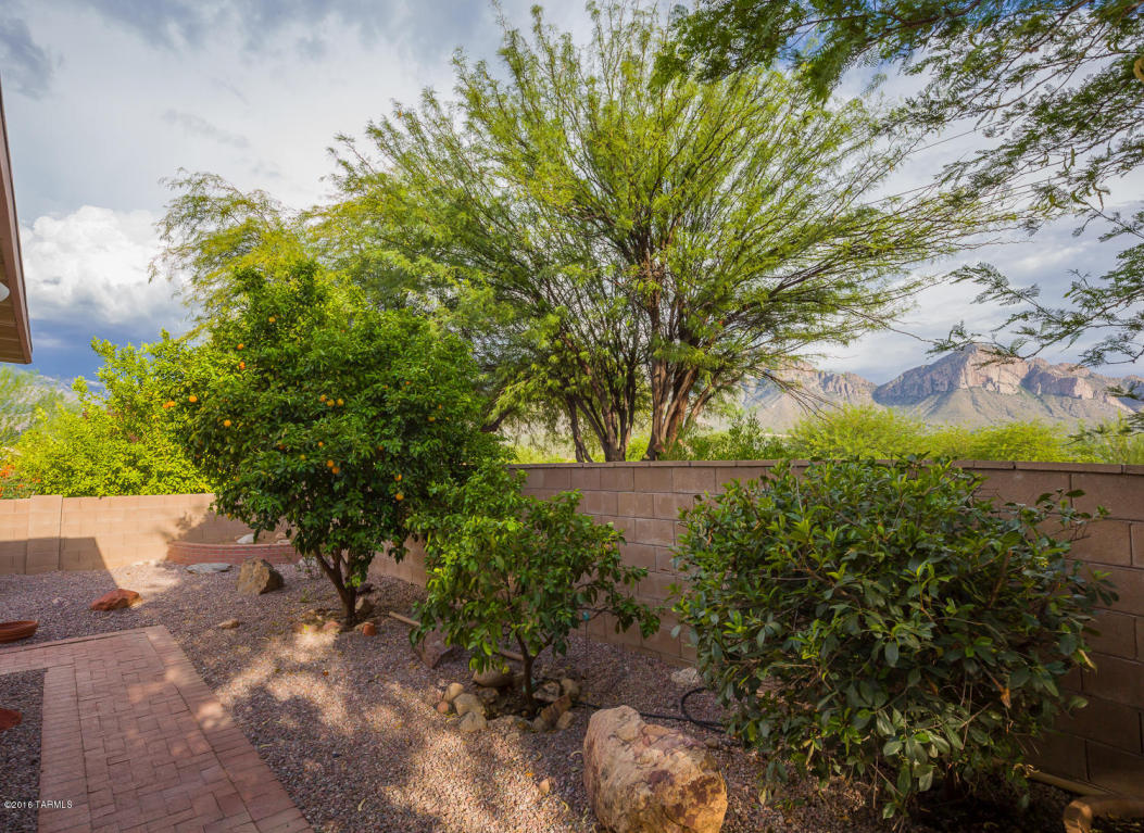 1580 E Grimaldi Pl, Tucson, AZ 85737 photo 22