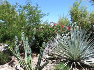 4859 E Chickweed Dr, Tucson, AZ 85756 photo 28
