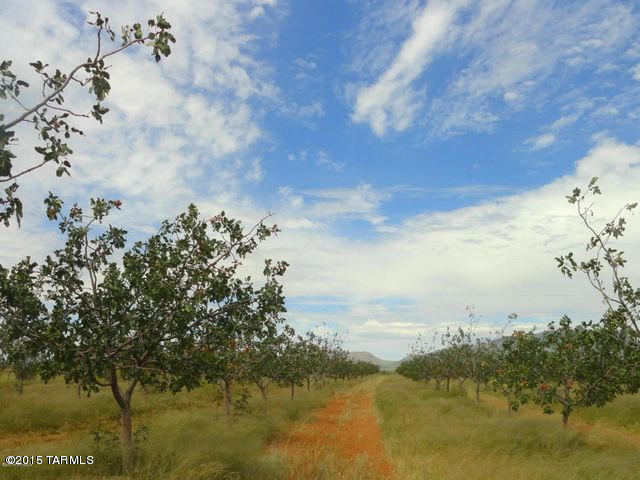 6952 S Covered Wagon Rd, Willcox, AZ 85643 photo 9