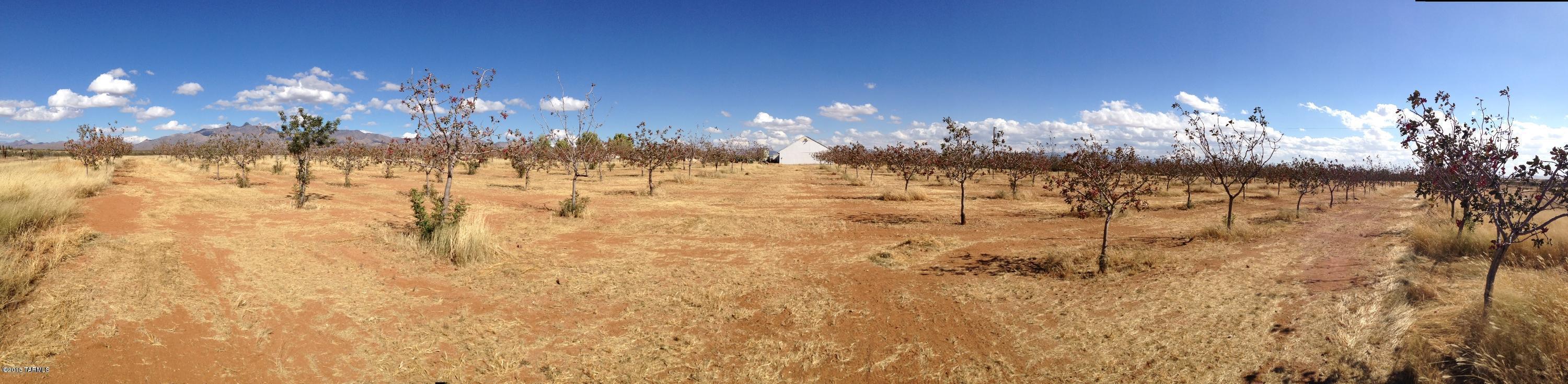 6952 S Covered Wagon Rd, Willcox, AZ 85643 photo 8