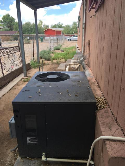 1350 E Skyview St, Tucson, AZ 85756 photo 5