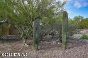 10840 E Limberlost Rd, Tucson, AZ 85749 photo 43