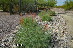 10840 E Limberlost Rd, Tucson, AZ 85749 photo 42