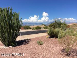 14168 E Lazy Jake Ln, Vail, AZ 85641 photo 5