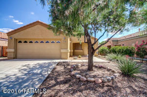 10528 E Feltleaf Willow Trl, Tucson, AZ 85747 photo 1