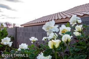10980 E Trailhead Rd, Tucson, AZ 85748 photo 36