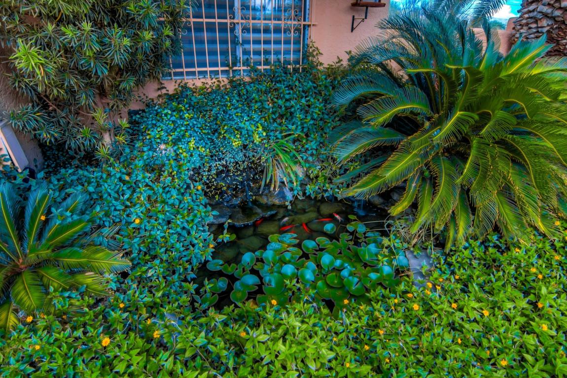 4151 E River Rd, Tucson, AZ 85718 photo 8