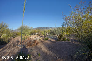 11865 E Samson Pl, Tucson, AZ 85748 photo 20