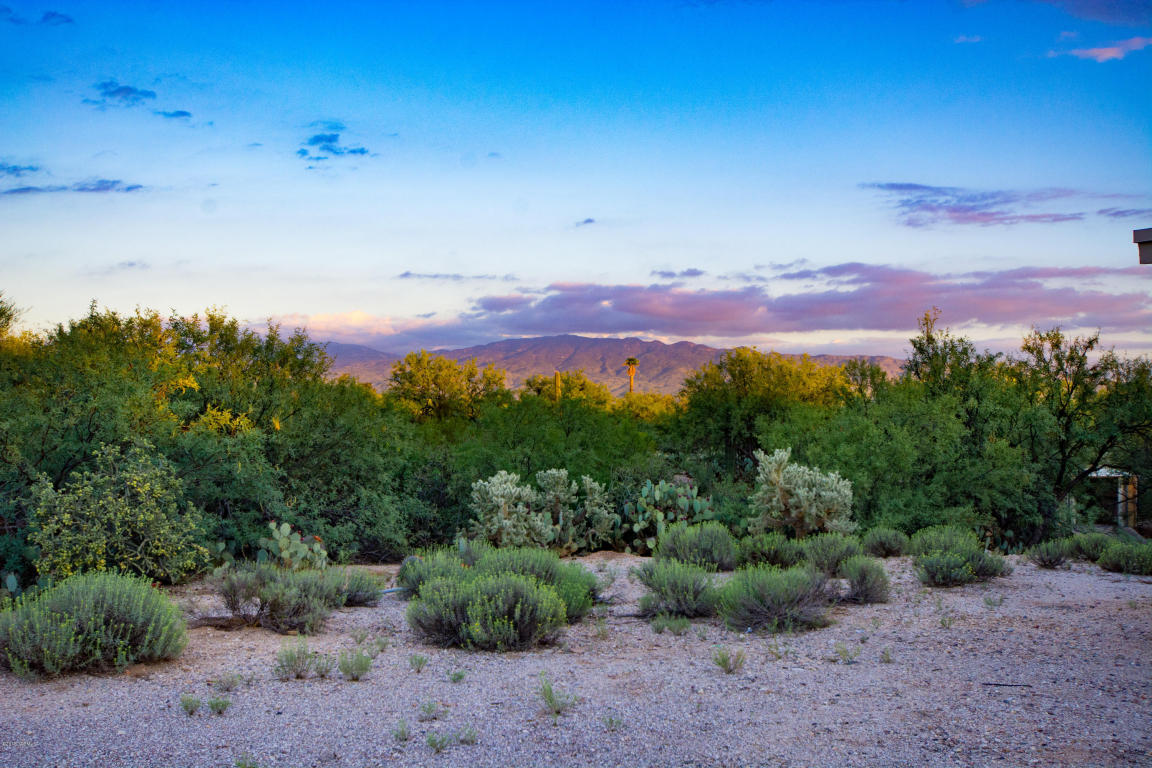 10580 E Deerfield Pl, Tucson, AZ 85749 photo 12