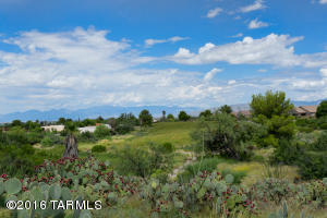 709 E Blue Rock Way, Vail, AZ 85641 photo 33