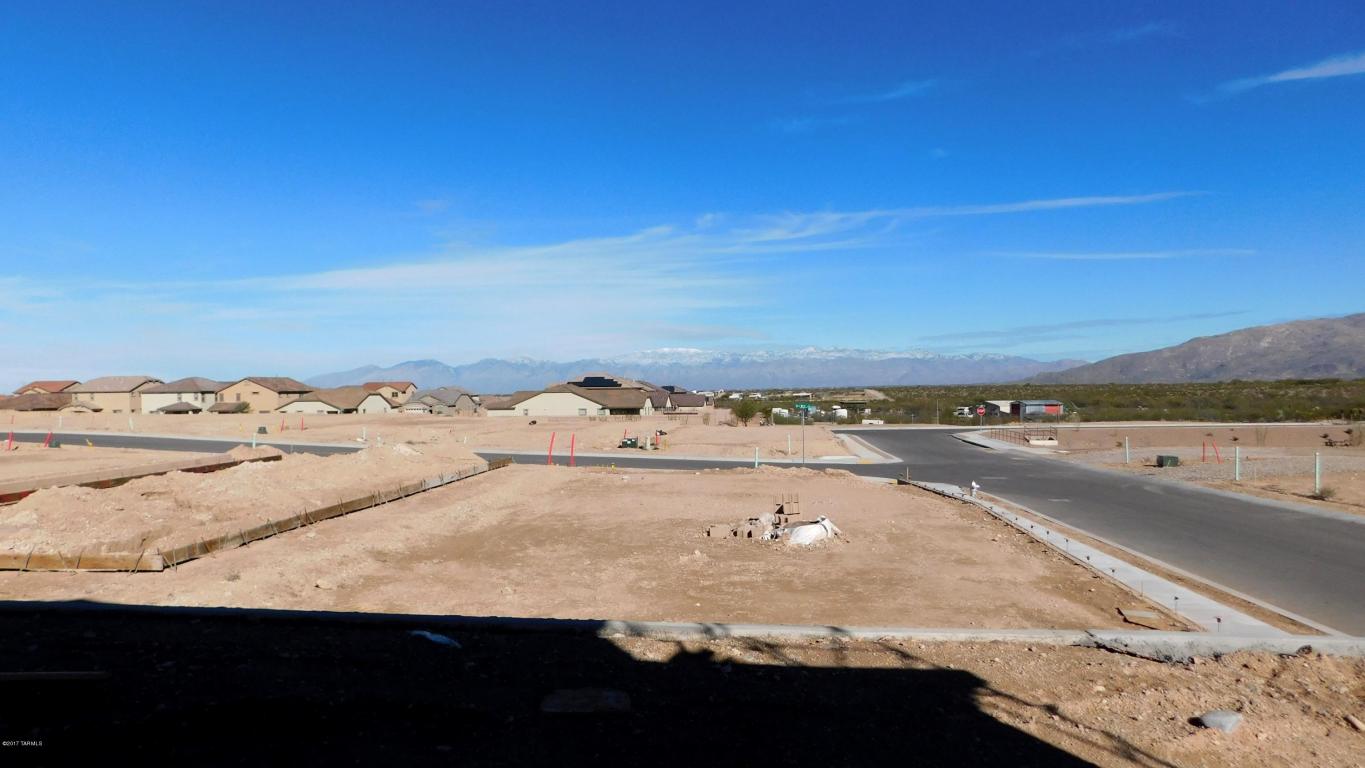 11459 E Desert Raptor Loop E, Tucson, AZ 85747 photo 11
