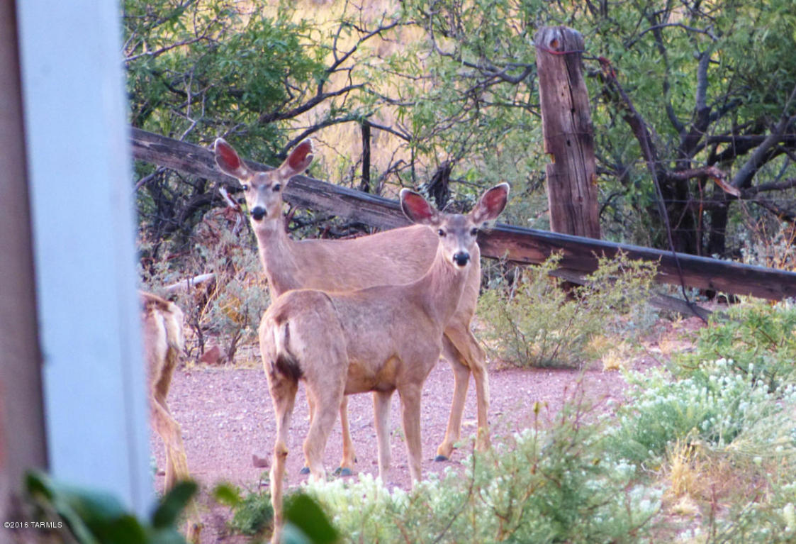 5922 E Highway 80, Bisbee, AZ 85603 photo 26