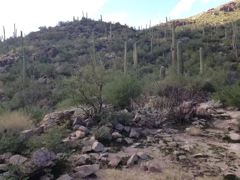 6991 Eagle Point Pl, Tucson, AZ 85750 photo 10