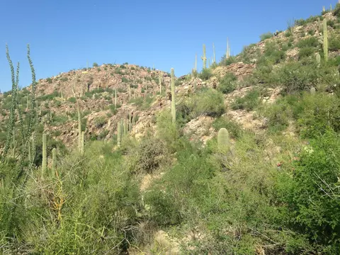 6991 Eagle Point Pl, Tucson, AZ 85750 photo 14