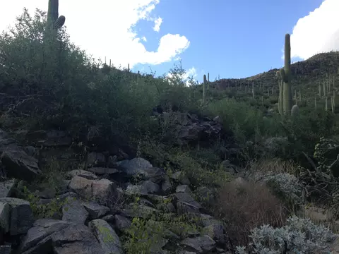 6991 Eagle Point Pl, Tucson, AZ 85750 photo 9