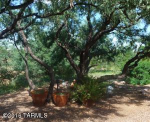 2900 E Darlene Dr, Vail, AZ 85641 photo 3
