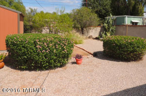 5331 E 3rd St, Tucson, AZ 85711 photo 8
