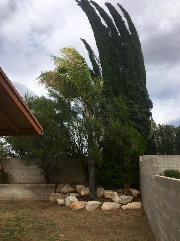 7803 S Danforth Av Ave, Tucson, AZ 85747 photo 6