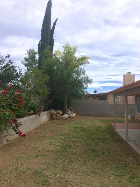 7803 S Danforth Av Ave, Tucson, AZ 85747 photo 7