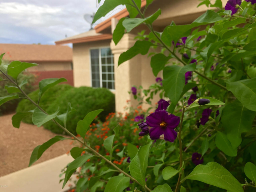 7803 S Danforth Av Ave, Tucson, AZ 85747 photo 1