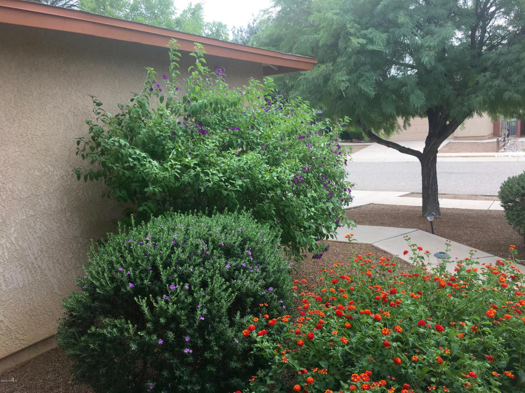 7803 S Danforth Av Ave, Tucson, AZ 85747 photo 4