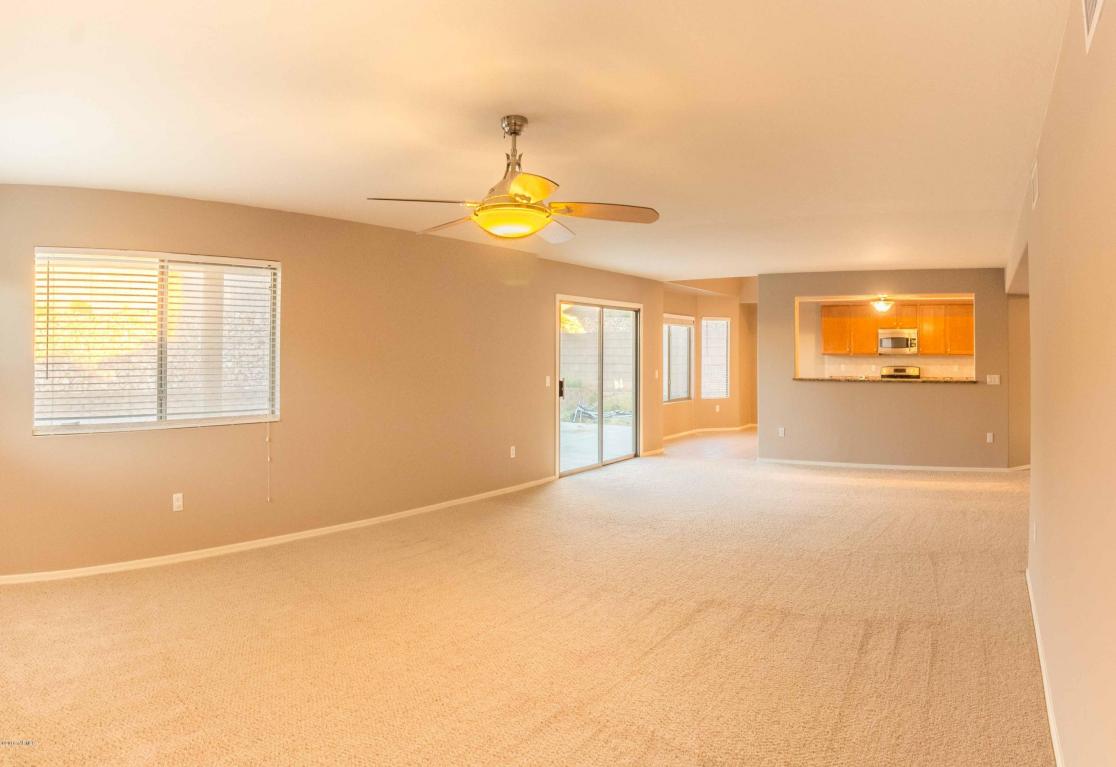 1045 S Seldon Pl, Vail, AZ 85641 photo 8