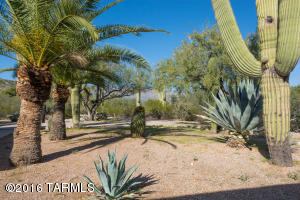7041 E River Rd, Tucson, AZ 85750 photo 16
