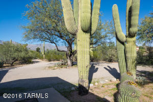 7041 E River Rd, Tucson, AZ 85750 photo 18