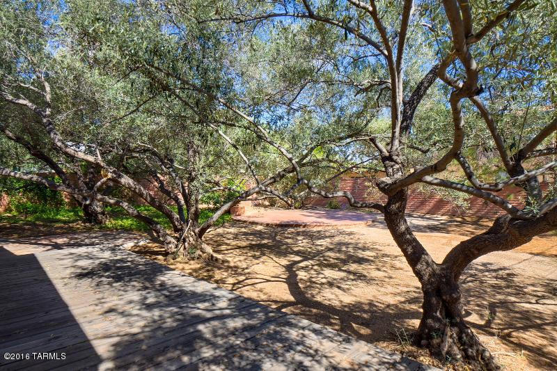 1133 E Hampton St, Tucson, AZ 85719 photo 8
