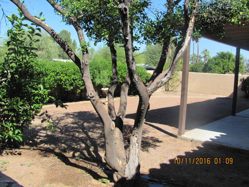 5639 E 9th St, Tucson, AZ 85711 photo 29