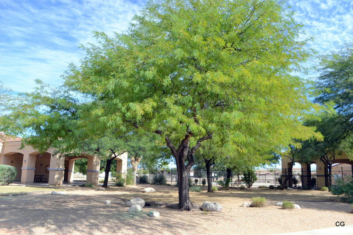6361 E Boldin Dr, Tucson, AZ 85756 photo 22