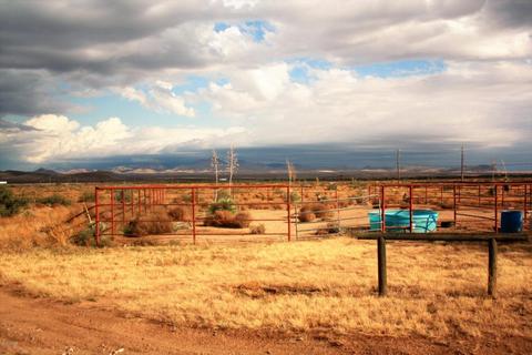 4141 N Silver Spur Rd, Willcox, AZ 85643 photo 2
