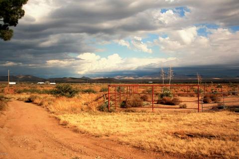 4141 N Silver Spur Rd, Willcox, AZ 85643 photo 3
