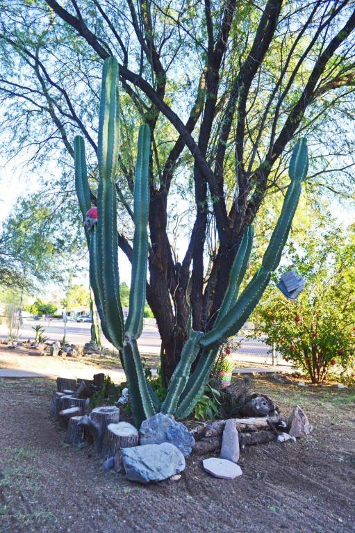 4559 E 14th St, Tucson, AZ 85711 photo 14