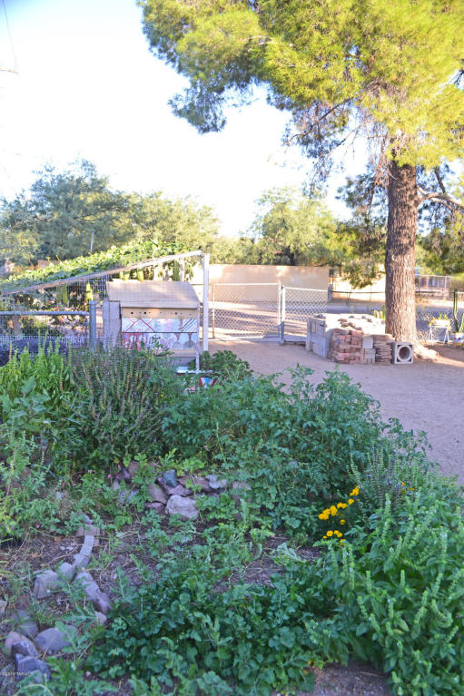 4559 E 14th St, Tucson, AZ 85711 photo 17