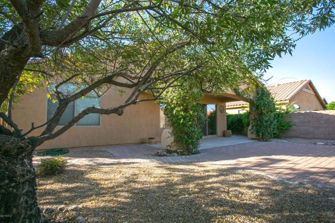 10533 E Feltleaf Willow Trl, Tucson, AZ 85747 photo 6
