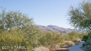 10605 E Singing Canyon Dr, Tucson, AZ 85747 photo 8