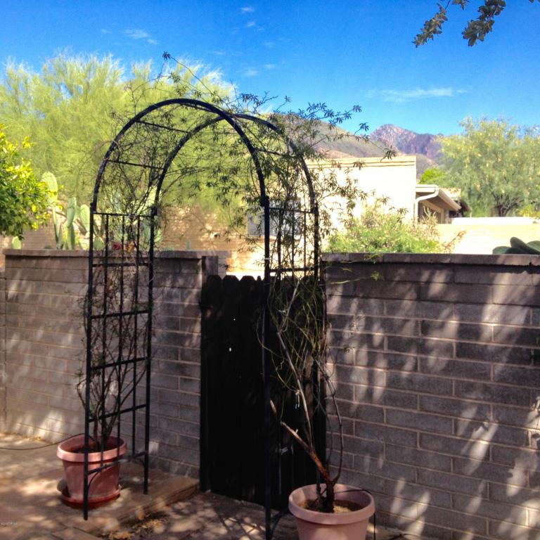 5 E Mediterranean Dr, Tucson, AZ 85704 photo 18