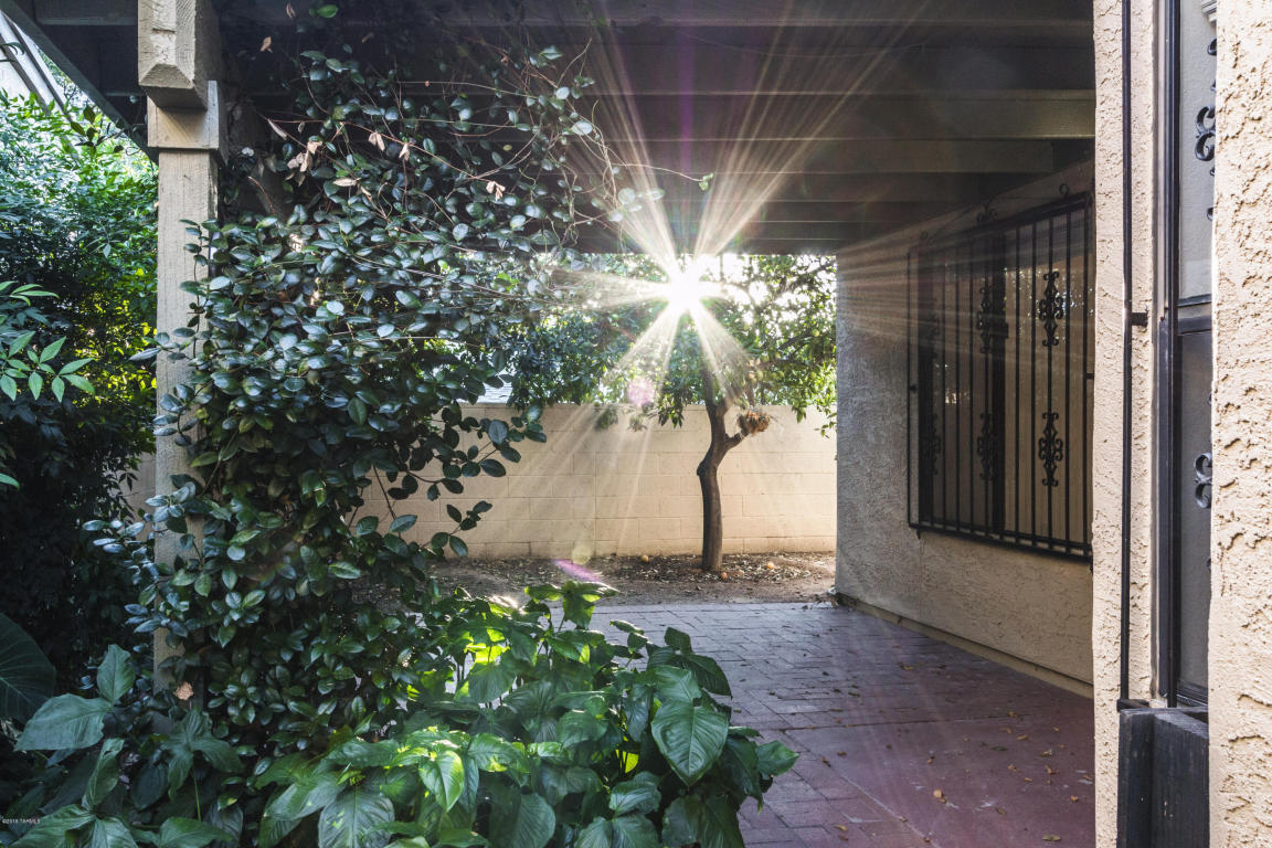 3307 W Firefall Pl, Tucson, AZ 85741 photo 23