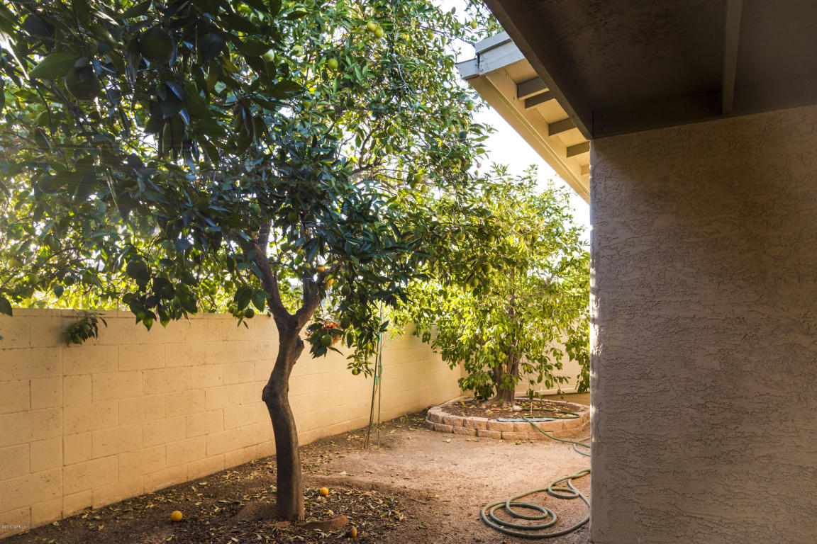 3307 W Firefall Pl, Tucson, AZ 85741 photo 19
