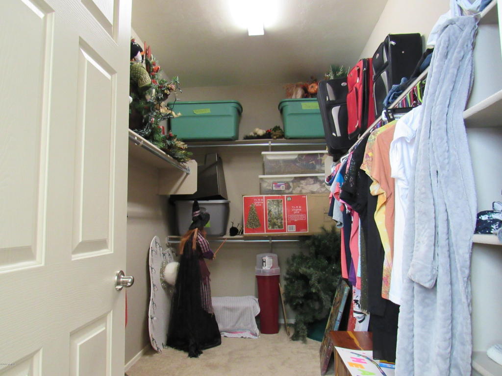582 S Desert Haven Rd, Vail, AZ 85641 photo 23